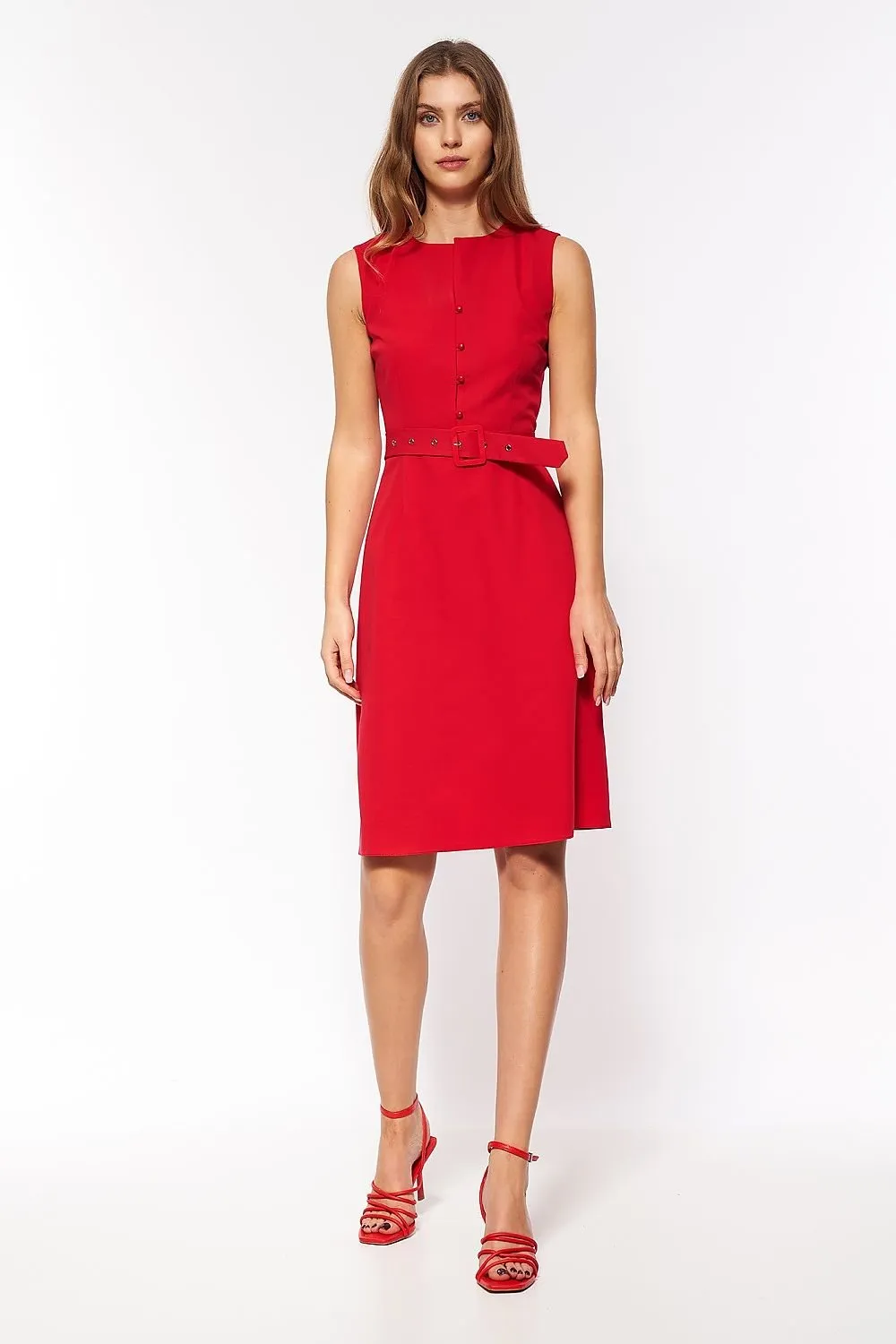 Elegant Curves A-Line Dress