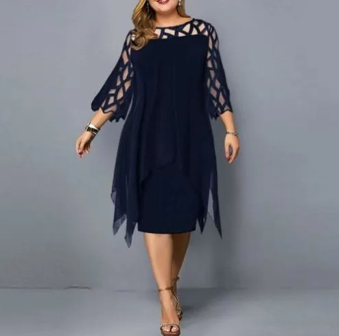 Elegant Mesh Long Sleeve Dress