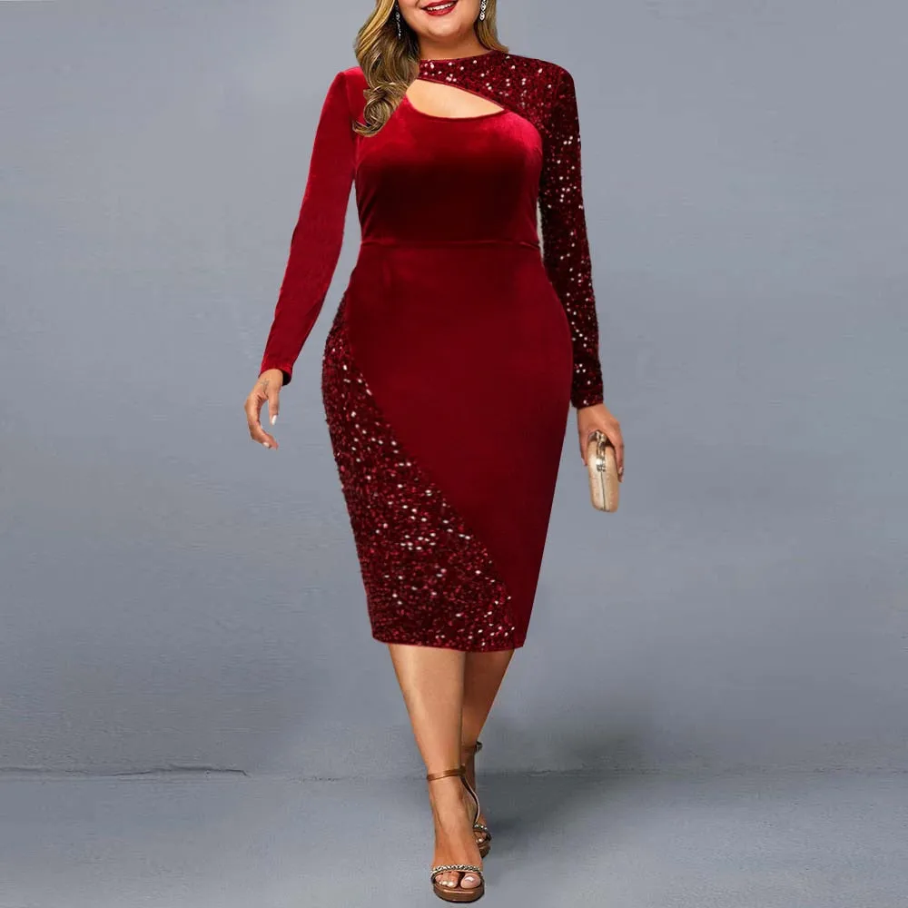 Elegant Mesh Long Sleeve Dress